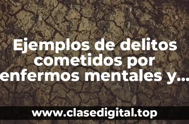 Ejemplos de delitos cometidos por enfermos mentales y Significado