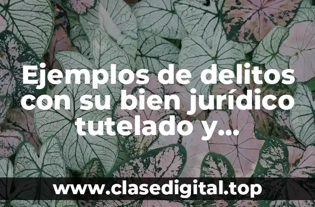 Ejemplos de delitos con su bien jurídico tutelado y Significado