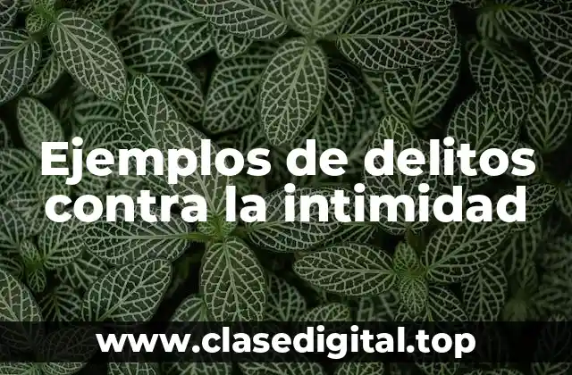 Ejemplos de delitos contra la intimidad