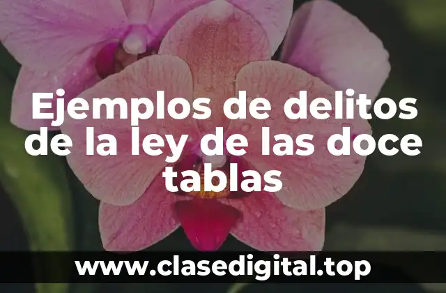 Ejemplos de delitos de la ley de las doce tablas