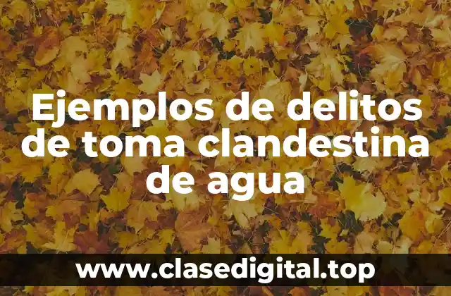 Ejemplos de delitos de toma clandestina de agua