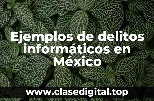Ejemplos de delitos informáticos en México