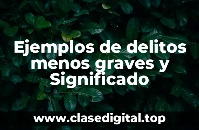Ejemplos de delitos menos graves y Significado