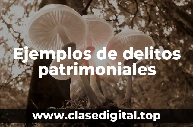 Ejemplos de delitos patrimoniales