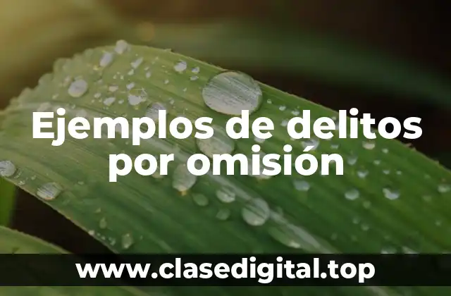 Ejemplos de delitos por omisión