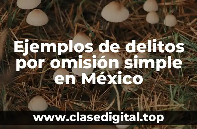 Ejemplos de delitos por omisión simple en México