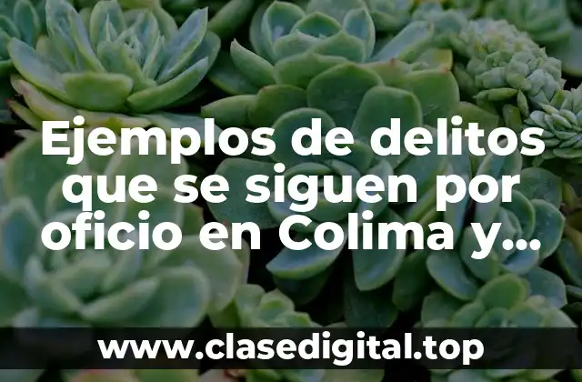 Ejemplos de delitos que se siguen por oficio en Colima y Significado