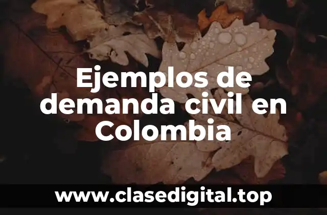 Ejemplos de demanda civil en Colombia