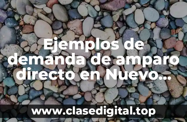 Ejemplos de demanda de amparo directo en Nuevo León y Significado