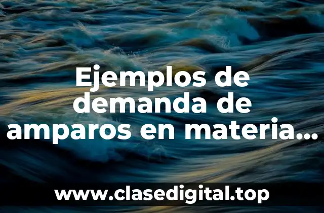 Ejemplos de demanda de amparos en materia agraria