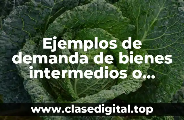 Ejemplos de demanda de bienes intermedios o industriales