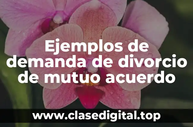Ejemplos de demanda de divorcio de mutuo acuerdo