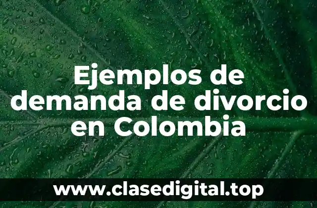 Ejemplos de demanda de divorcio en Colombia