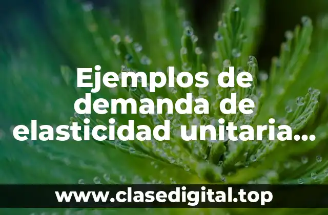 Ejemplos de demanda de elasticidad unitaria en objetos o cosas y Significado
