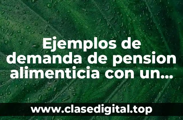 Ejemplos de demanda de pension alimenticia con un hijo Down