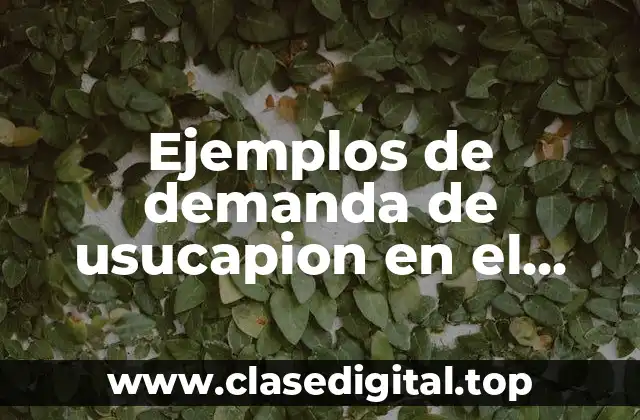 Ejemplos de demanda de usucapion en el estado de Mexico