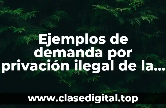 Ejemplos de demanda por privación ilegal de la libertad