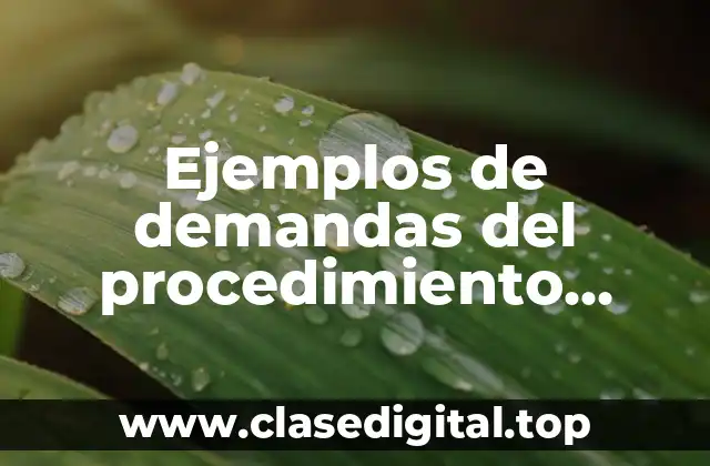 Ejemplos de demandas del procedimiento ordinario civil en Puebla