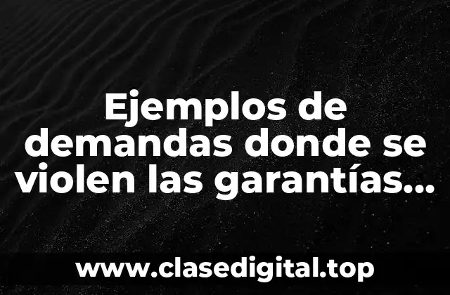 Ejemplos de demandas donde se violen las garantías