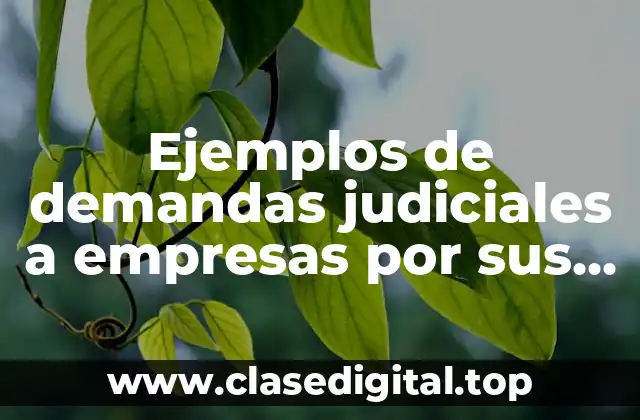Ejemplos de demandas judiciales a empresas por sus productos