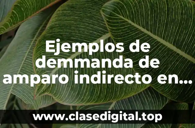 Ejemplos de demmanda de amparo indirecto en materia penal