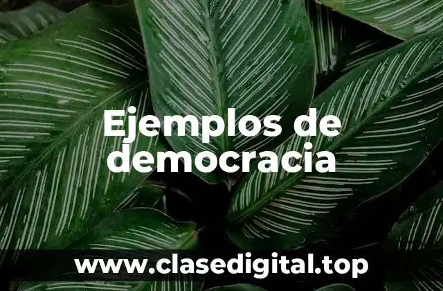 Ejemplos de democracia