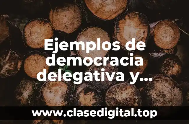 Ejemplos de democracia delegativa y Significado