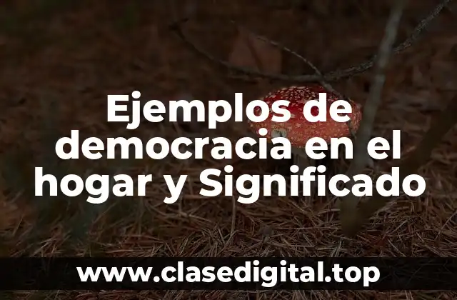 Ejemplos de democracia en el hogar y Significado