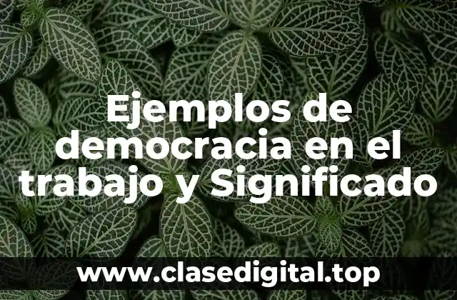 Ejemplos de democracia en el trabajo