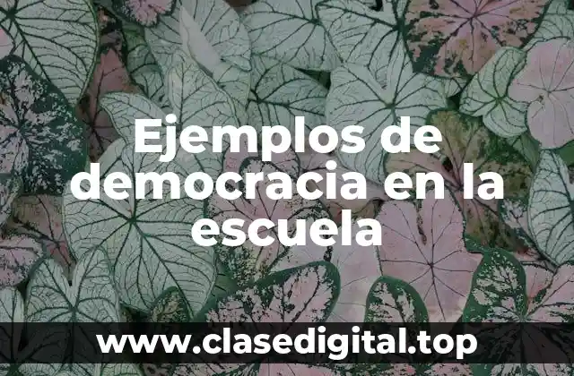 Ejemplos de democracia en la escuela
