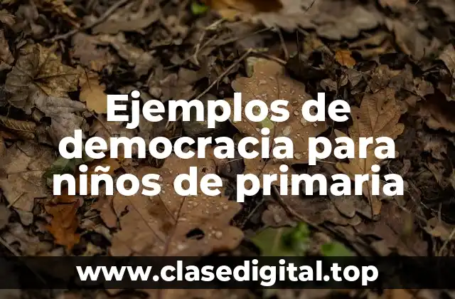 Ejemplos de democracia para niños de primaria