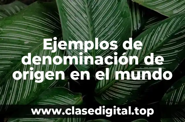 Ejemplos de denominación de origen en el mundo