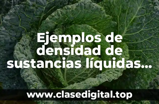 Ejemplos de densidad de sustancias líquidas, sólidas y gases
