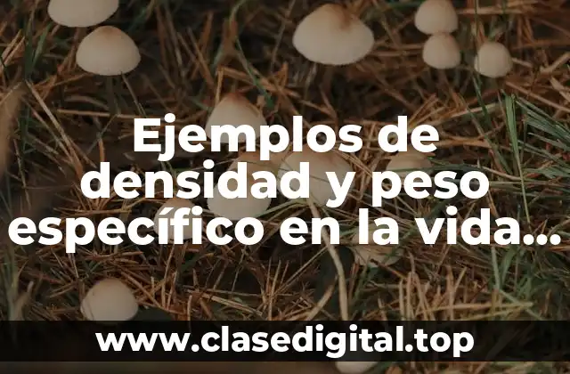 Ejemplos de densidad y peso específico