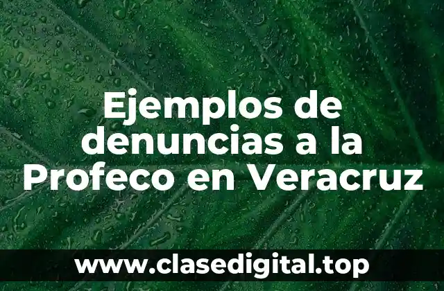 Ejemplos de denuncias a la Profeco en Veracruz