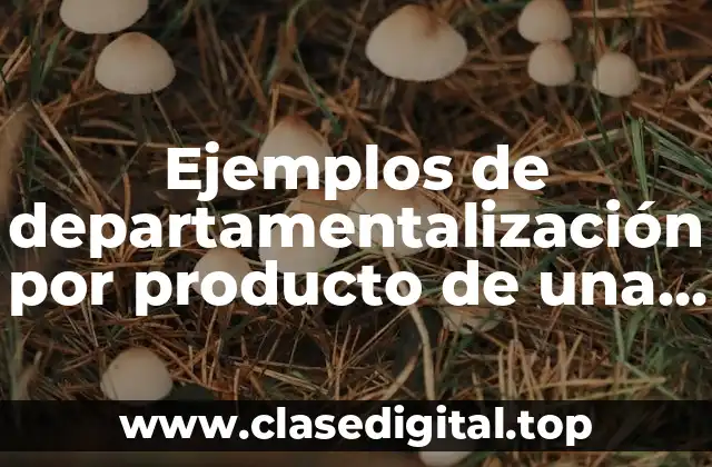 Ejemplos de departamentalización por producto de una empresa