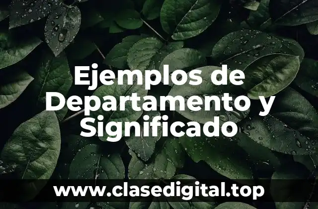 Ejemplos de Departamento y Significado