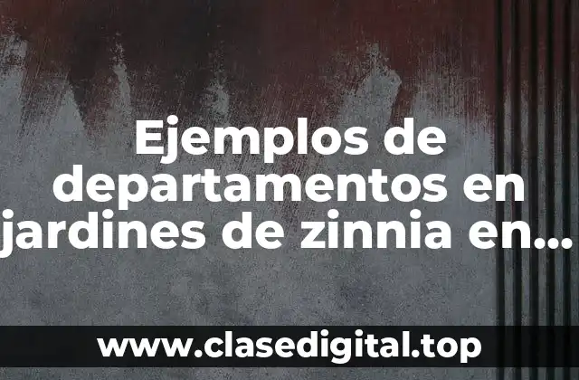 Ejemplos de departamentos en jardines de zinnia