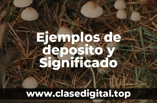 Ejemplos de deposito