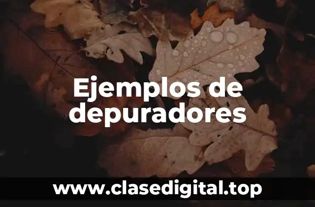 Ejemplos de depuradores