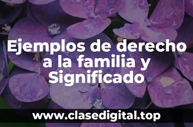Ejemplos de derecho a la familia y Significado