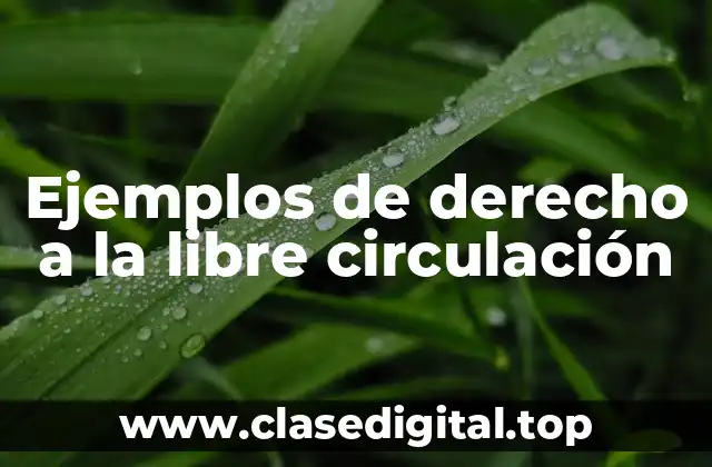 Ejemplos de derecho a la libre circulación