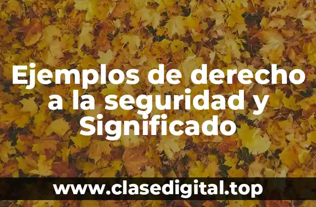 Ejemplos de derecho a la seguridad y Significado