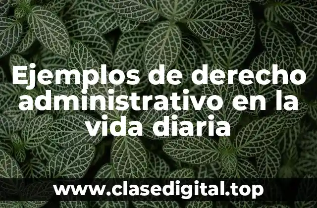 Ejemplos de derecho administrativo en la vida diaria