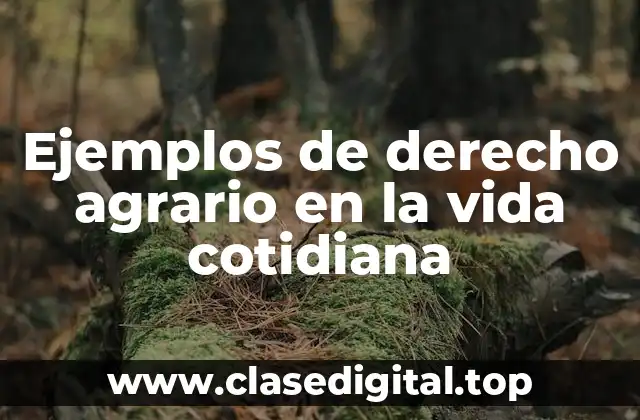 Ejemplos de derecho agrario en la vida cotidiana