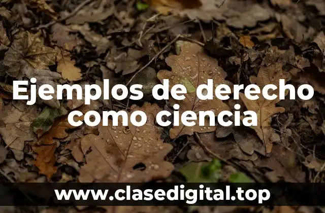 Ejemplos de derecho como ciencia