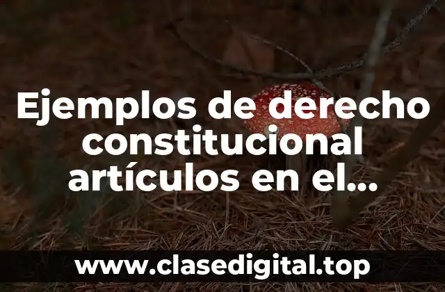 Ejemplos de derecho constitucional artículos en el código civil