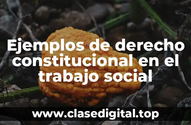 Ejemplos de derecho constitucional en el trabajo social