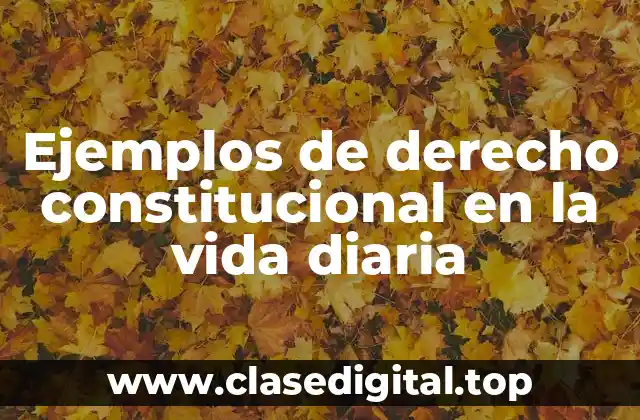 Ejemplos de derecho constitucional en la vida diaria