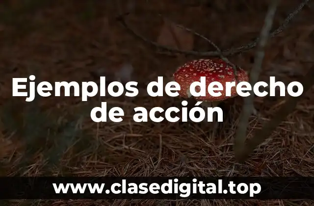 Ejemplos de derecho de acción